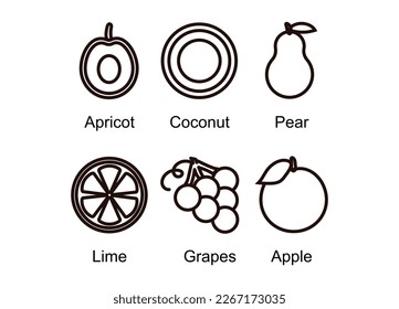 Healthy Food Icons. Pear, apple, coconut, lime, grape, apricot. Flat design vector illustration of fruit on white background. black and white icons