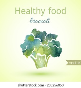 healthy food illustration of watercolor broccoli. vector