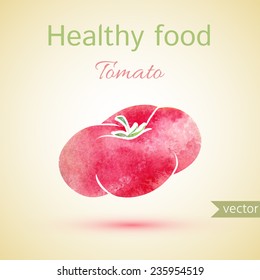 healthy food illustration of watercolor tomato. vector