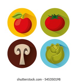 healthy food isolated icon vector illustration design