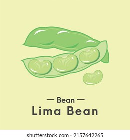 Healthy food lima beans, lotus nut vector.