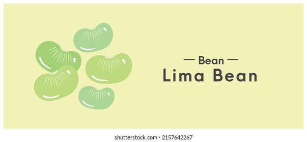 Healthy food lima beans, lotus nut vector.