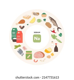 Healthy Food Micronutrients Guide Concept. Vector Flat Illustration. Infographic Of Sodium Product Sources. Colorful Set Of Meat, Seafood, Vegetables, Nuts And Dairy Products Symbol.