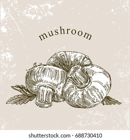 Healthy food. Mushrooms. Engraving. Vintage style. Vector illustration.