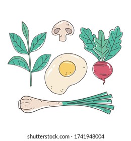 healthy food nutrition diet organic onion egg beet mushroom vector illustration