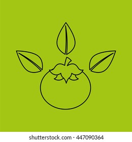 healthy food organic product isolated icon design, vector illustration  graphic 