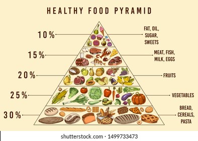 Healthy food plan pyramid. Infographics for Balanced Diet percentage. Lifestyle concept. Ingredients for meal plan. Nutrition guide. Hand drawn in vintage style.