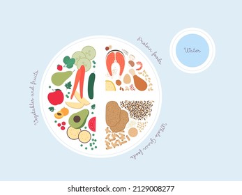 Concepto de guía de platos saludables. Ilustración moderna plana vectorial. Infografía del plan de nutrición de recomendaciones con etiquetas. Carne colorida, frutas, verduras y granos icono conjunto con agua.