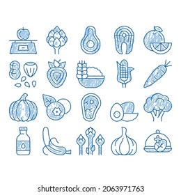 Healthy Food sketch icon vector. Hand drawn blue doodle line art Vegetable, Fruit And Meat Healthy Food Pictograms. Strawberry And Orange, Blueberry And Pumpkin, Eggs And Fish Illustrations