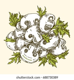 Healthy food. Slices of mushrooms and parsley. Engraving. Color. Vector illustration.