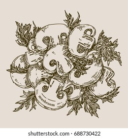 Healthy food. Slices of mushrooms and parsley. Engraving. Vector illustration.
