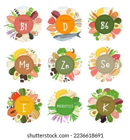 Healthy food sources of vitamins and minerals. Vitamins b1, b6, d, e, k1, k2, zinc, magnesium, selenium, prebiotics. Vector healthcare illustration isolated on white background.