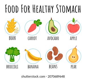 Healthy food for stomach isolated infographic design element
