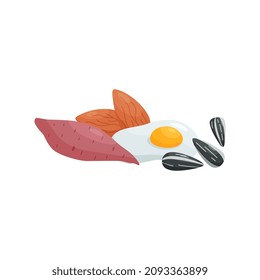 Healthy food - sweet potato, egg, sunflower seed and almond nut, flat vector illustration isolated on white background. Grocery store or nutrition design.