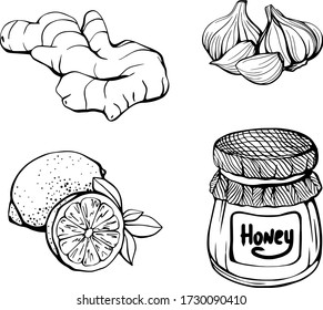 Alimentos saludables que potencian su sistema inmune. Conjunto de productos: limón, miel, jengibre, ajo. ilustración vectorial en el estilo Doodle.