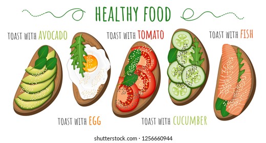Healthy food. Toasts with avocado, tomato, fried egg, cucumber and fish. Vector illustration isolated on white background
