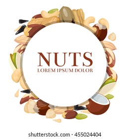 Healthy food vector concept with different nuts. Round banner with nuts and illustration raw seed and cashew nut