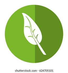 healthy food vegan symbol shadow