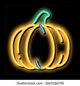 Healthy Food Vegetable Pumpkin neon light sign vector. Glowing bright icon transparent symbol illustration