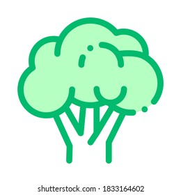 Healthy Food Vegetable Rapini Vector Sign Icon Thin Line. Vegan Bio Eco Agriculture Rapini Cauliflower Linear Pictogram. Organic Healthcare Vitamin Nutrition Contour Illustration