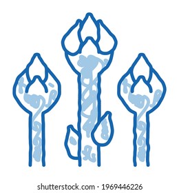 Healthy Food Vegetable Snake Bean sketch icon vector. Hand drawn blue doodle line art isolated symbol illustration