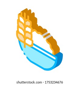 Healthy Food Wheat Spikelet vector isometric sign. color isolated symbol illustration