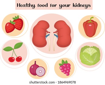 Healthy Food For Your Kidneys Infographic. Concept Of Food And Vitamins, Medicine, Kidney Disease Prevention. Vector Illustration