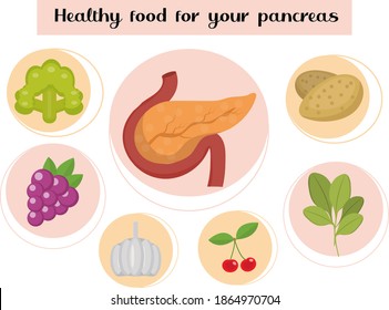 Healthy Food For Your Pancreas. Concept Of Food And Vitamins, Medicine, Prevention Of Pancreatic Diseases. Vector Illustration