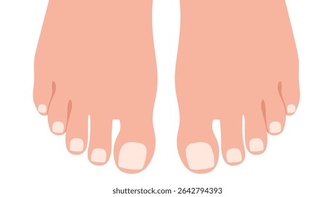 A Healthy Foot Care Guide Steps for Beautiful Feet and Maintaining Hygiene