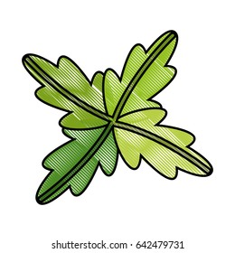 healthy fresh vegetable