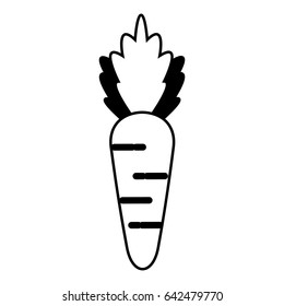 healthy fresh vegetable