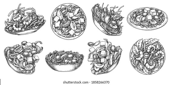 Healthy fresh vegetable salad in bowl and plate sketch. Hand drawn diet vegetarian mix with greens and veggie ingredient food ingredient in dish vector illustration isolated on white background