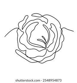 Healthy Fresh Vegetables Vector Line Art Graphic Design Decoration