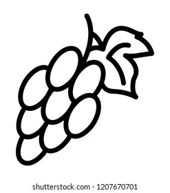 Healthy fruit grapes bunch
