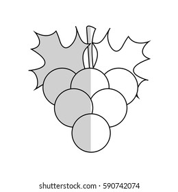 healthy fruit icon