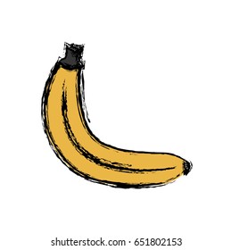 healthy fruit icon