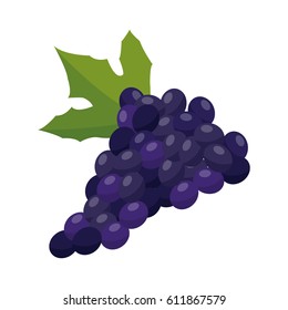 healthy fruits design