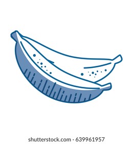 healthy fruits design