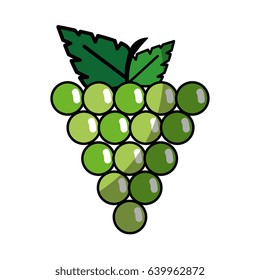 healthy fruits design