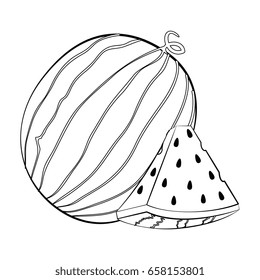 healthy fruits design