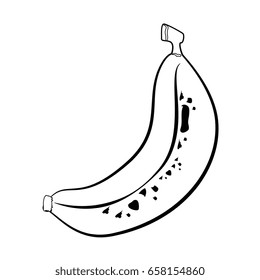 healthy fruits design