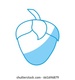 healthy fruits icon