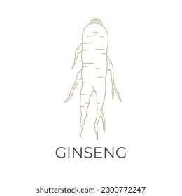 Healthy Ginseng Root Simple Line Art Vector Illustration Logo