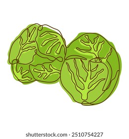 Healthy Green Food Ingredient Cabbage Vegetable in Line Art Design