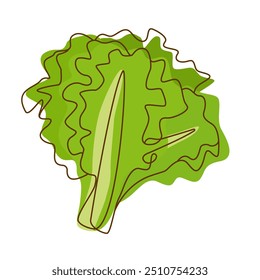 Healthy Green Food Ingredient Lettuce Leaf Vegetable in Line Art Design