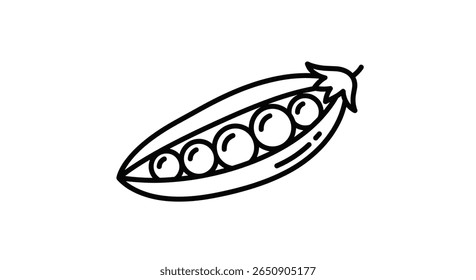 Healthy green peas pod growing fresh vegetables organic produce garden food agriculture nature illustration outline