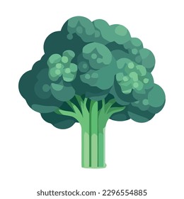 Healthy green vegetable broccoli icon isolated