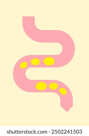 A healthy gut and good digestion