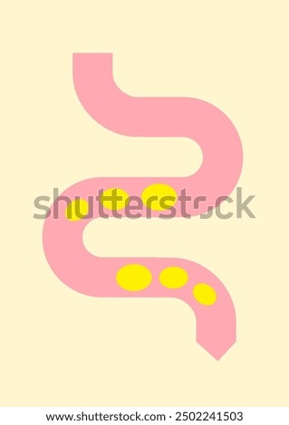 A healthy gut and good digestion