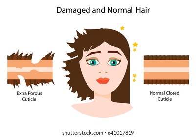 healthy hair and damaged hair